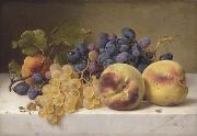 Johann Wilhelm Preyer A Still Life with Peaches and Grapes on a Marble Ledge France oil painting artist